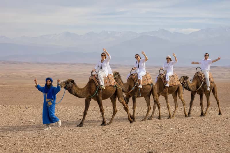 Marrakech: Agafay Camel Ride, Quad, Pool & Lunch