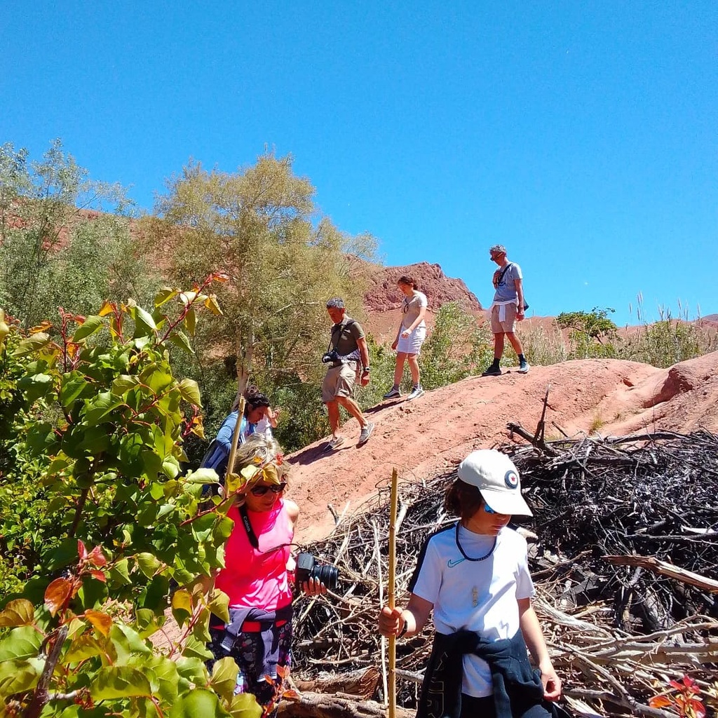 Gorges du Dadès: Scenic Valley & Canyon Discovery