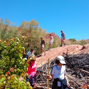Gorges du Dadès: Scenic Valley & Canyon Discovery
